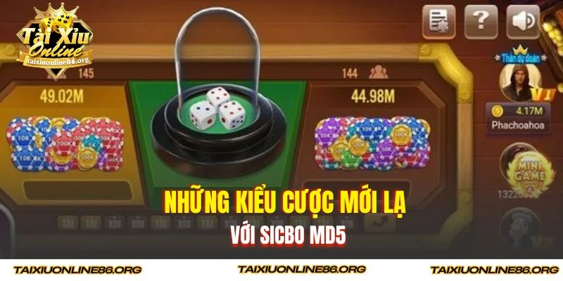 Những kiểu cược mới lạ với sicbo MD5